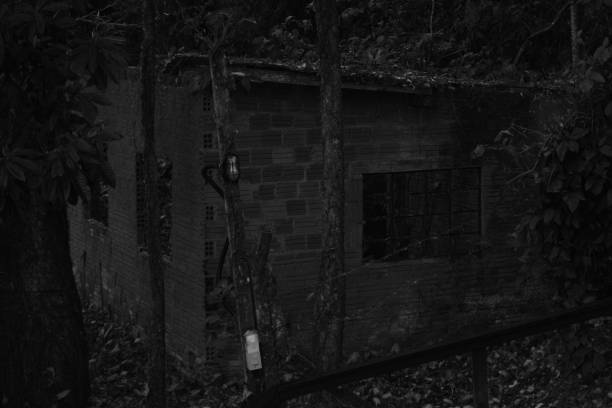 istock The abandoned house 1172770378
