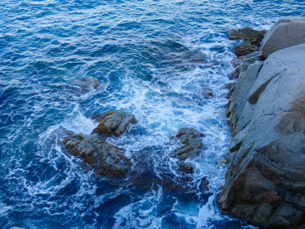 istock Costa Brava, Catalonia, Spain 1172771745
