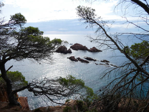 istock Costa Brava scene, Catalonia, Spain 1172773233