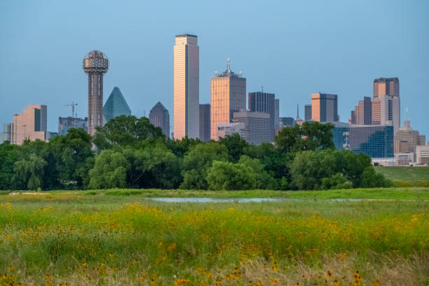istock Dallas skyline looking from flooded Trinity River 1172775767