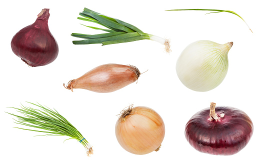various onion vegetables isolated on white background