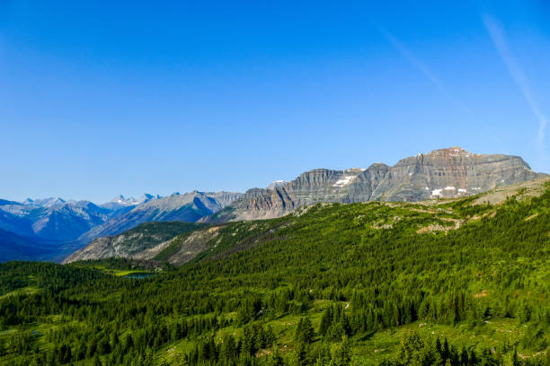 istock Sunshine Meadows, Banff National Park, Canada 1172778939