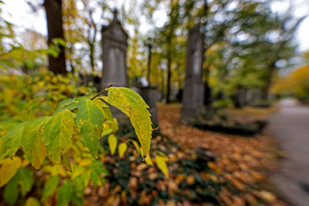 istock Autumn mood in the cemetery 1172779204
