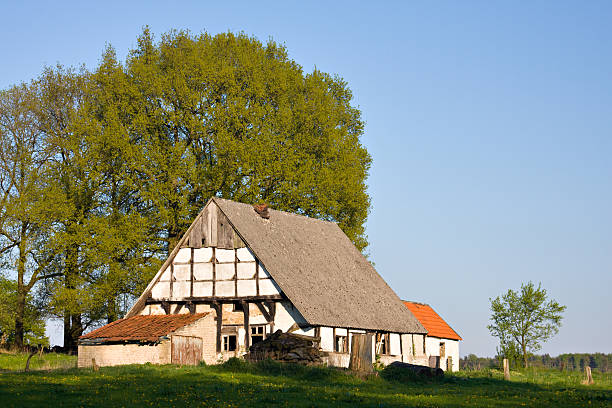 古いファームハウス - non urban scene landscaped clear sky germany ストックフォトと画像