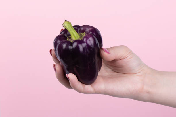 Purple sweet bell pepper in hand on a pink background.