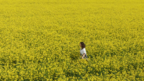 istock pretty brunette walks along endless yellow flower field 1172789716