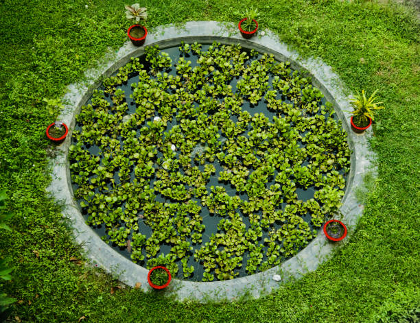 istock Red flower vases around a green field 1172791416