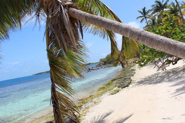 istock Special beach in a natural park in Venezuela 1172792449
