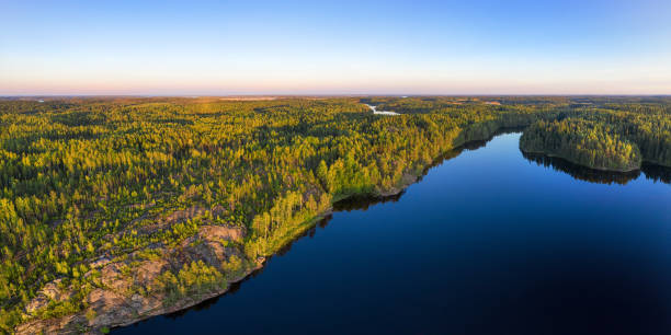 istock Endless wild forest and clear blue lake aerial panoramic landscape at sunset 1172792785