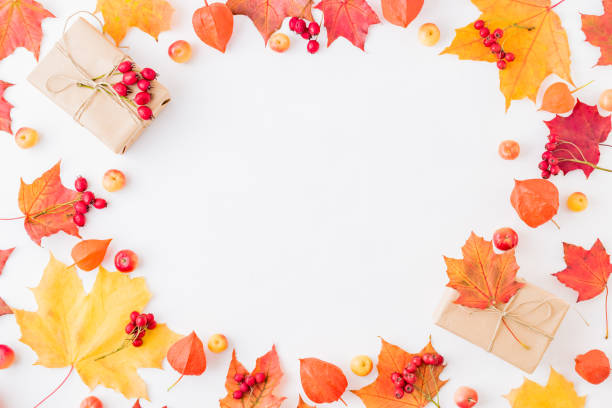 istock Flat lay frame with colorful autumn leaves and gift box on a white background 1172794677