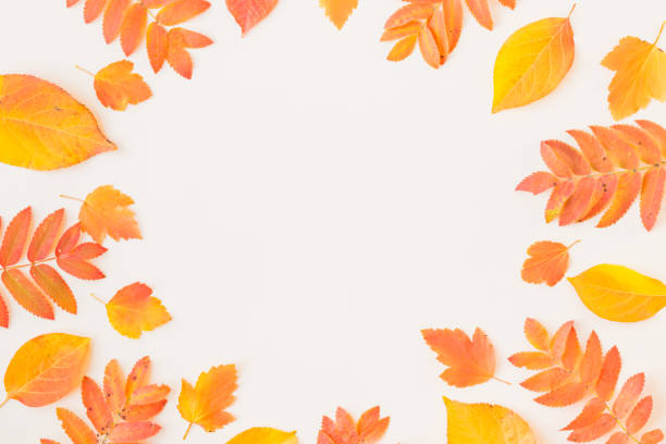 istock Flat lay frame with colorful autumn leaves on a white background 1172794720