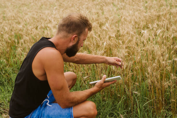 istock Young farmer in filed holding tablet in his hands. 1172796610