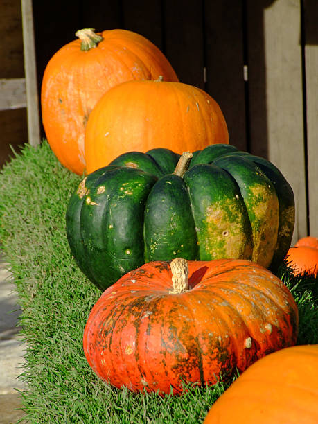 istock Pumpkins on sale 117279870