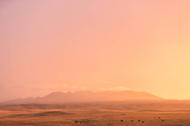 istock Dreamy Sunset & Montana Mountain Landscape 1172798848