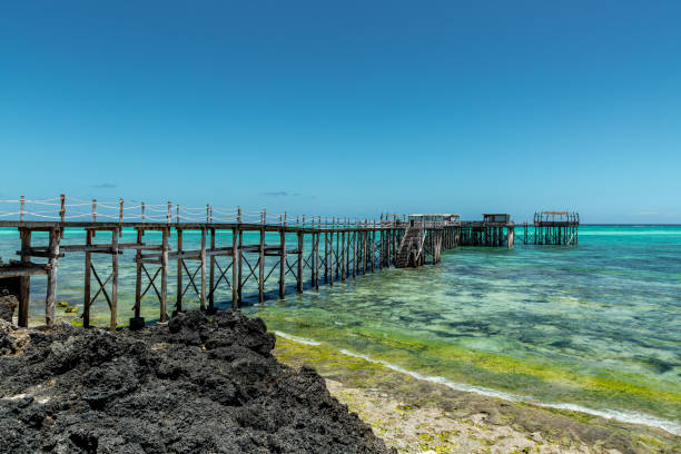 istock Long and old wooden pier 1172799031