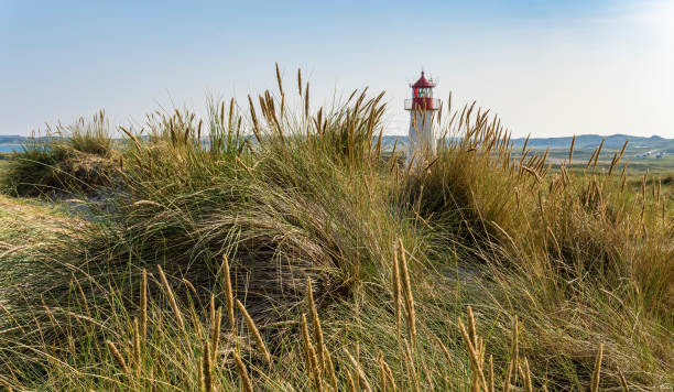 Lighthouse red white on dune vertical. Focus on background with lighthouse.