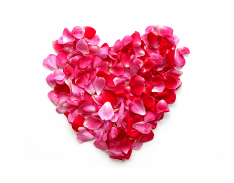 Rose petal heart isolated on white. 