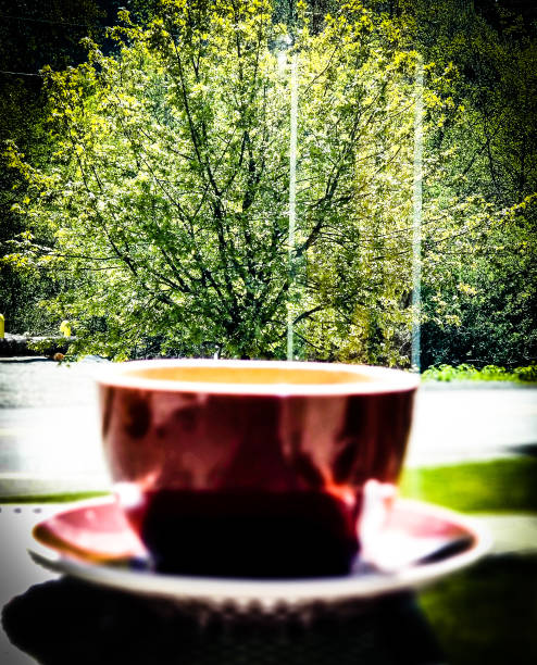 A Tree in My Coffee Cup