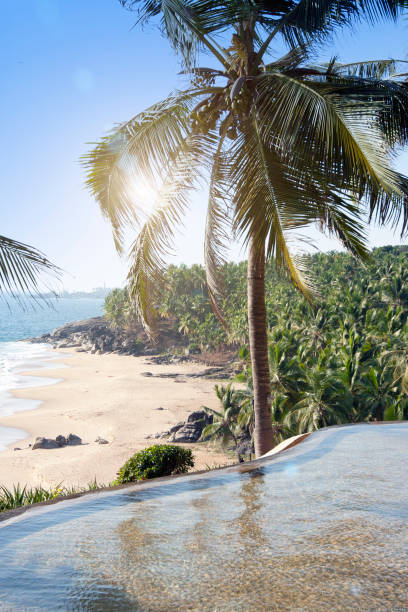 istock seashore with palm trees . India. Kerala. 1172802519