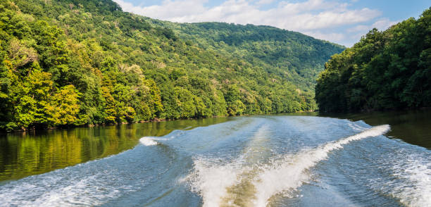 istock Back of the Boat 1172804497