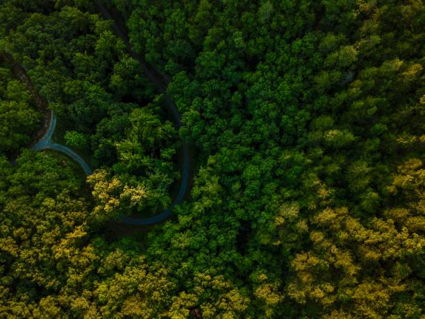 tennessee von oben - great smoky mountains great smoky mountains national park panoramic appalachian mountains stock-fotos und bilder