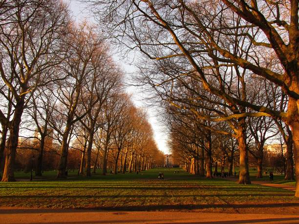 istock Landscape. Autumn in a park 1172806983