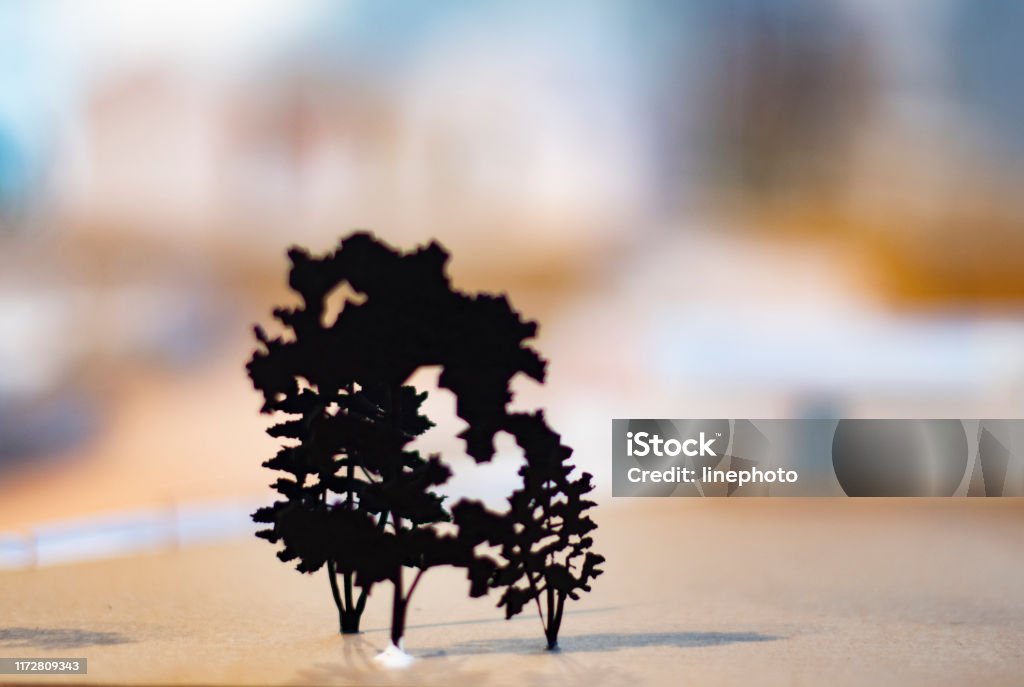 Standing Tree Model Architectural Model With A Tree Standing On Cardboard In The Design ...