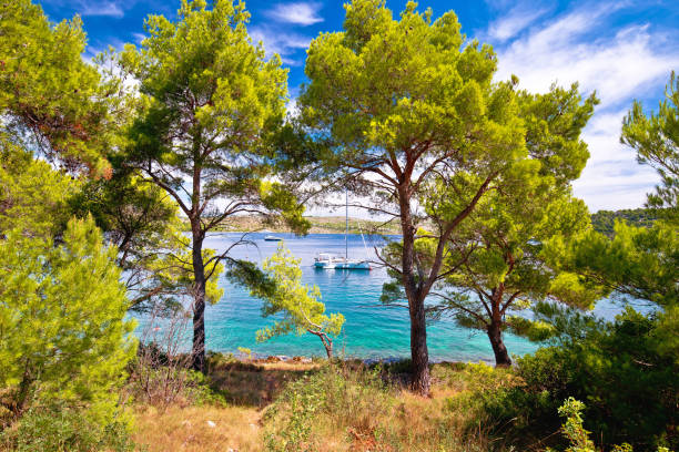 Telascica bay nature park yachting destination of Dugi otok island Telascica bay nature park yachting destination of Dugi otok island, Dalmatia, Croatia dugi otok island stock pictures, royalty-free photos & images