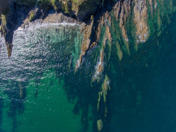 istock Aerial view by drone of rocks on Cornwall coast Uk 1172819777
