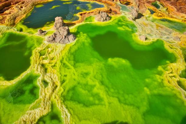 Sulfur deposits in the desert of Dallol, Ethiopia Dallol, Ethiopia - January 03, 2019: Yellowish green deposits which include potash, green acid and iron oxide, sulfur and salt desert plains, being also the hottest place on earth. danakil desert photos stock pictures, royalty-free photos & images