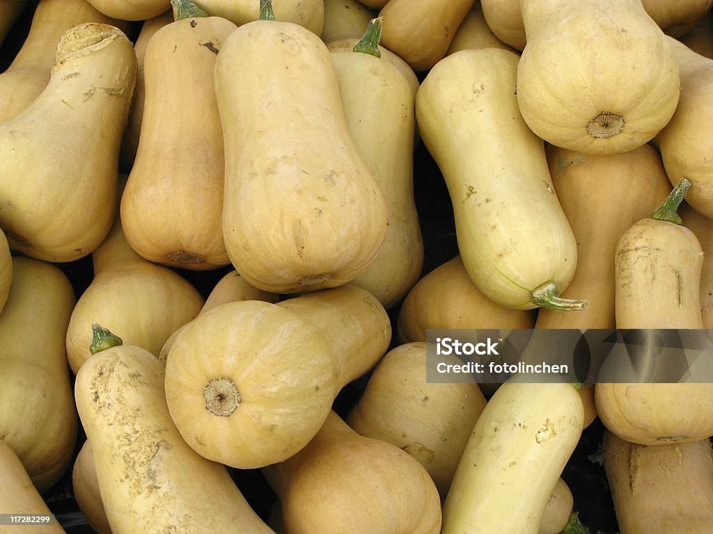 Pumpkins- Moschus-Kürbis - Lizenzfrei Moschus-Kürbis Stock-Foto