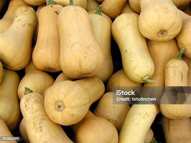 Pumpkins Moschuskürbis Stockfoto und mehr Bilder von Moschus-Kürbis - Moschus-Kürbis, Gartenkürbis, Drehhalskürbis