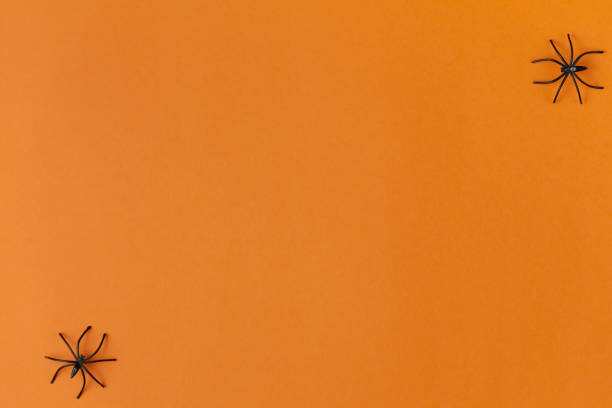 istock background for halloween, spiders on an orange table 1172824954