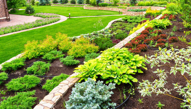 istock Landscaping panorama of home garden 1172827113