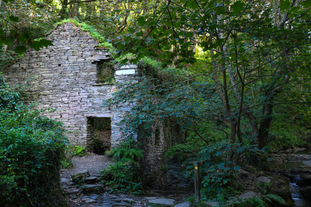 istock Abandoned dilapidated mill in woodland 1172830803
