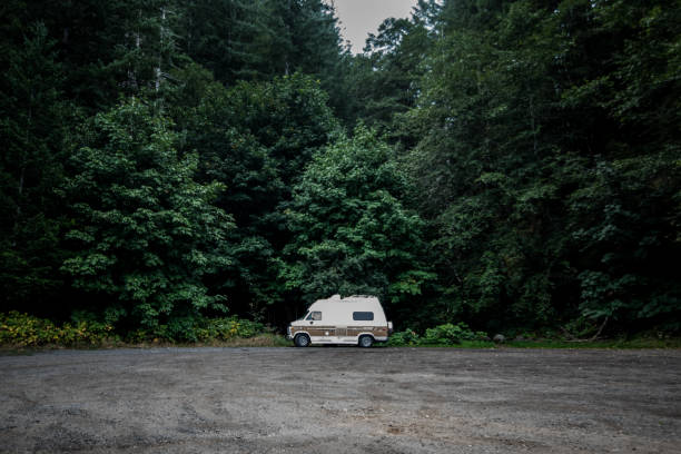 istock Lone van in the middle of a forest 1172832627