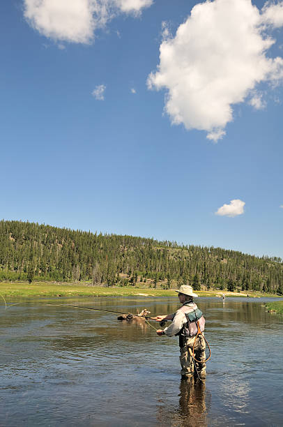 mid-río pesca - río firehole fotografías e imágenes de stock