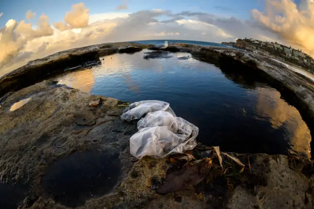 Photo of Rubbish by the Sea