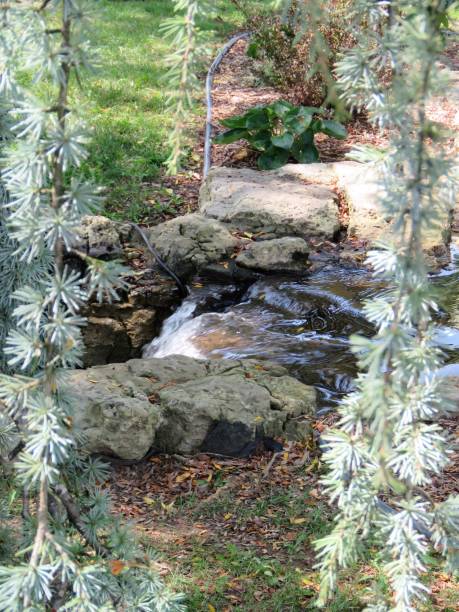 istock water and rocks in landscaping 1172835119