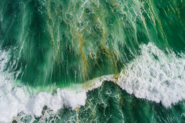 istock Aerial view of sea waves splashing. 1172835770
