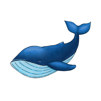 Vector Cute Cartoon Blue Whale Isolated On White Background Stock  Illustration - Download Image Now - iStock