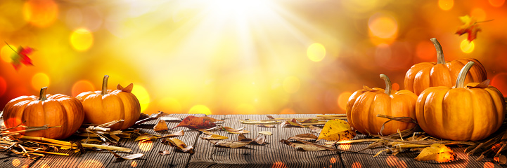 Mini Thanksgiving Pumpkins And Leaves On Rustic Wooden Table With Sunlight And Bokeh On Orange Background - Thanksgiving / Harvest Concept