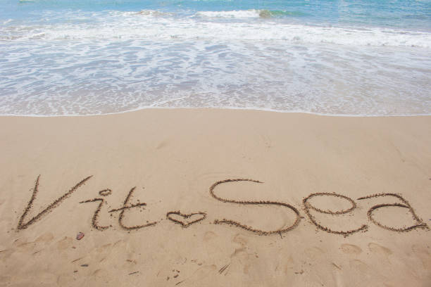 istock Love Vitamin Sea 1172841276
