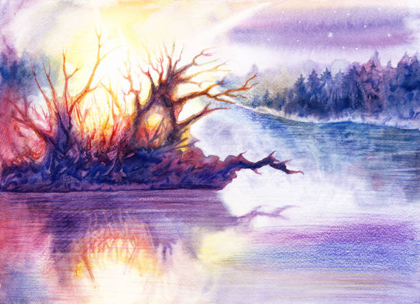 illustrazioni stock, clip art, cartoni animati e icone di tendenza di disegnare bellissime opere d'arte paesaggistica con fiume o lago, foresta, acqua, alberi, sole, cielo, stelle, pittura disegnata a mano da acquerello e matite colorate su carta bianca, sfondo romantico - tree reflection lake landscape