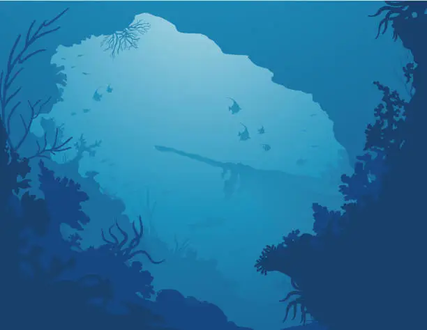 Vector illustration of Shipwreck Wreck