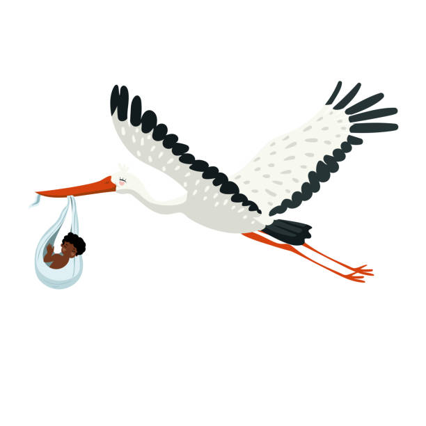 istock A stork carries a bundle with a baby in its beak. Vector graphic isolated on white background. 1172845312