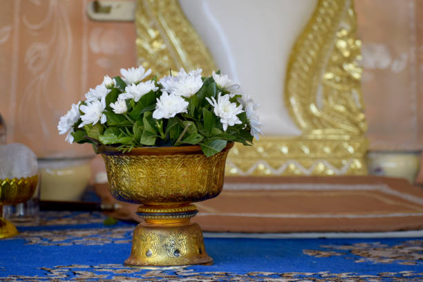 istock White flower in golden pan 1172846296