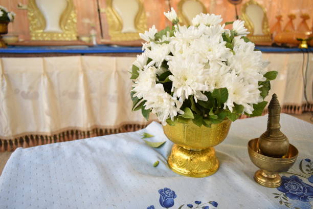 White flower in golden pan
