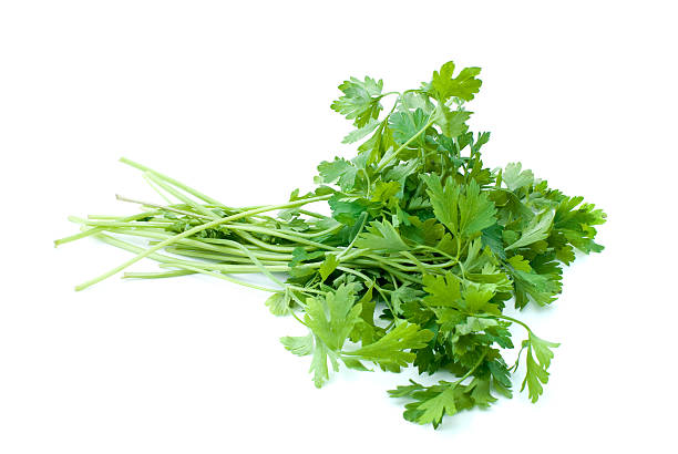 istock Bunch of parsley 117284638
