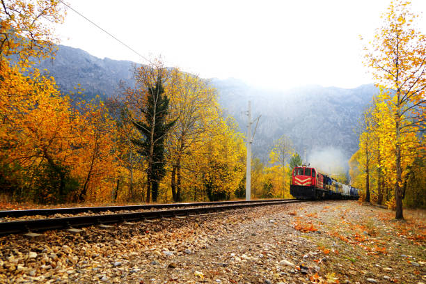 istock Passenger Train in countryside landscape 1172846538